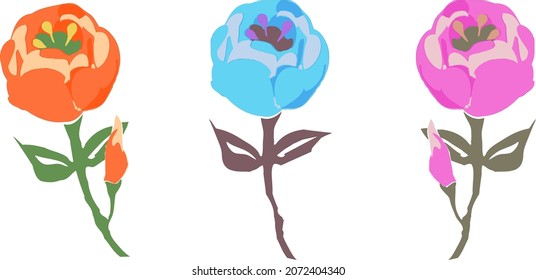 Round floret set illustration material