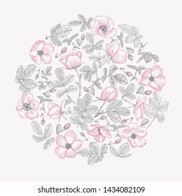 Round flower composition with wild rose. Botanical illustration. Pastel background.