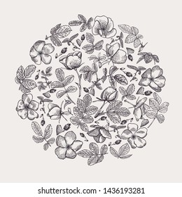 Round flower composition with wild rose. Botanical illustration.  Black and White background.