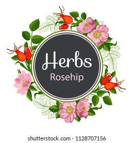 Round flower frame of rose hips, vector illustration isolated on white background, line art decorative rosehip for design cosmetic, natural medicine, herbal tea, food menu.
