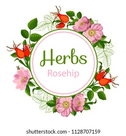 Round flower frame of rose hips, vector illustration isolated on white background, line art decorative rosehip for design cosmetic, natural medicine, herbal tea, food menu.