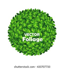 Round flowerbed. Texture of green leaves. Vector illustration. Vector design.
