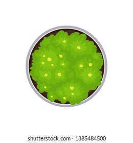 Round flowerbed. View from above. Vector illustration