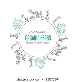 Round frame with Artemisia absinthium or wormwood hand drawn vector illustration isolated on white, Also called absinthium, absinthe wormwood, wormwood, common wormwood, Wormwood herb, Absinthe plant