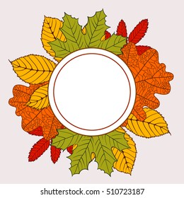 round frame with autumn leaves - birch, oak, maple, mountain ash, chestnut