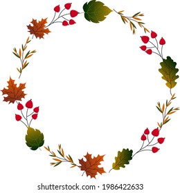 Round frame with autumn leaves and red berries. Hello, Autumn. Vector illustration isolated on white background. For use in postcards, invitations and decoration of various goods.