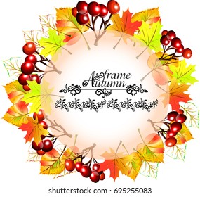 Round frame in autumn.Autumn frame with vector monograms and patterns. A frame for a mirror, glass, for an autumn poster, leaflets, stickers, business cards. Leaves of birch, maple, red berries.
