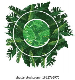 round frame with banana leaves - vector round frame with banana leaves high resolution - nature frame