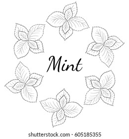 Round frame, banner with mint leaves, peppermint branch, flower hand drawn sketch. Hand drawn spicy herbs, doodle cooking ingredient for design, packaging.