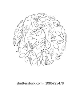 Round frame, Barberry hand drawn vector isolated on white background, decorative fruit texture, line art fresh berry, Natural spicy herb, cooking ingredient for design package tea, cosmetic, medicine