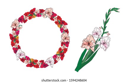 Round frame with beautiful gladiolus flowers, one branch of pink gladiolus.  Festive floral circle for your season design