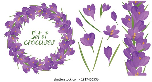 Round frame with beautiful lilac crocuses. Vector set of flower elements. Colorful image.