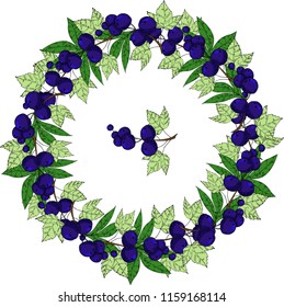 Round frame with berries. Vector hand drawn frame. Great for invitations, greeting cards, decor