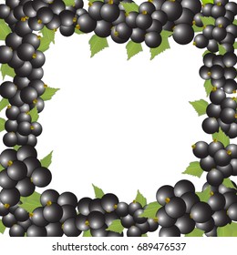 Round frame of black currant on white background