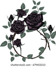 Round frame with Black roses -   Vector design