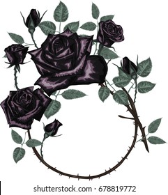 Round frame with Black roses -    Vintage vector design frame.