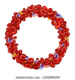 Round frame of blood cells. Vector illustration isolated on white background.