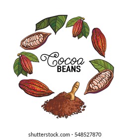 Round frame of cacao fruit, beans and powder with place for text, sketch illustration isolated on white background. Cacao fruit, beans, powder forming round frame for chocolate banner, poster design