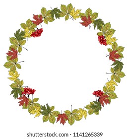 Round frame with chestnut, maple leaves and rowanberry. Hand sketched autumn leaves for autumn sales, Thanksgiving, Halloween, harvest festival, invitations, greeting cards, wedding, posters. Vector.