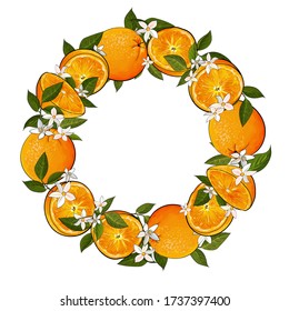 Round frame of citrus fruits oranges, leaves, flowers on white background. Copy space. Hand drawn. Vector stock illustration.