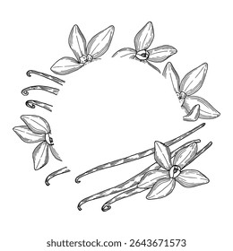 Round frame composition with Vanilla Flower and Sticks. Vector hand drawn illustration of orchid Flower and pods. Drawing on isolated background. Outline drawing of spice. 