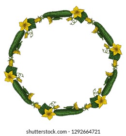 Round frame with cucumbers. Wreath with cucumbers, cucumber leaves and flowers on white background for your design