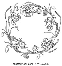 Round frame of daffodils flowers. Vector flowers isolated on white background. Great for invitation, greeting card, poster.