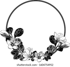 round frame decorated with field plants leaves and flowers, sketch vector graphics monochrome illustration on a white background