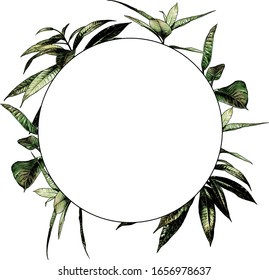 round frame decorated with leaves, sketch vector graphics color illustration on white background