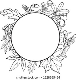 Round frame with different autumn leaves. Blank circle with space for text