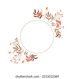 Round frame with floral decoration in red tones. Meadow wild herbs. Chamomile, tansy.