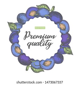 Round frame of fresh, eco-friendly plums. The best quality banner with a vintage image of hand-drawn berries.