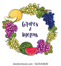 Round frame of grapes, melon and watermelon with place for text inside, sketch style vector illustration isolated on white background.