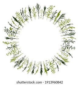 Round frame with grass silhouettes - wild herbs isolated on white - herbal elements for spring and summer natural design