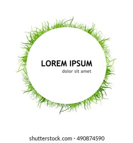 round frame from grass. Vector
