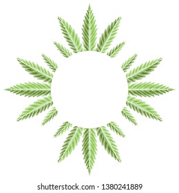 Round frame with green leaves of marijuana with hatching. The object is separate from the background. Vector engraving template for menus, articles, cards and your creativity