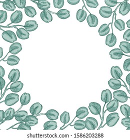 Round frame of grren eucalyptus branches  isolated on white background. Hand drawn botanical illustration with green contour lines. Stock vector illustration. 