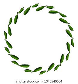 Round frame with horizontal drawing cucumber. Isolated wreath on white background for your design