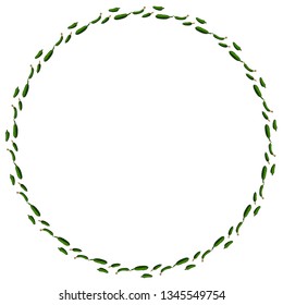Round frame with horizontal tasty cucumber. Isolated wreath on white background for your design