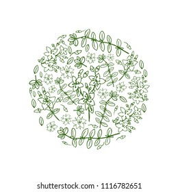 Round frame Hypericum, St. John's wort or Hartheu branch vector sketch hand drawn healing plant isolated on white background, Tutsan herbs design for card, package cosmetic, medicine, natural tea