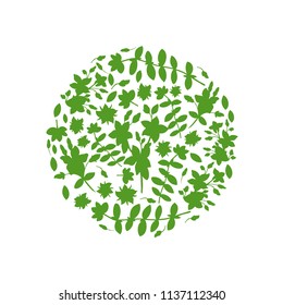 Round frame Hypericum, St. John's wort or Hartheu branch vector sketch hand drawn healing plant isolated on white background, Tutsan herbs design for card, package cosmetic, medicine, natural tea