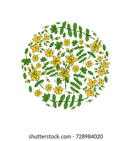Round frame Hypericum, St. John's wort or Hartheu branch vector sketch hand drawn healing plant isolated on white background, Tutsan herbs design for card, package cosmetics, medicine, natural tea