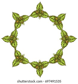 Round frame of leaves and fruits of hazelnut. Vector illustration isolated on white background for design of packaging, labels and other items.