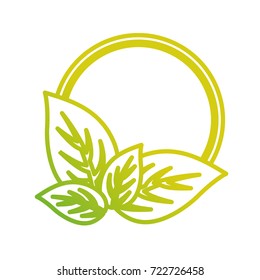 round frame  with  leaves   vector illustration