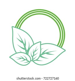 round frame  with leaves vector illustration