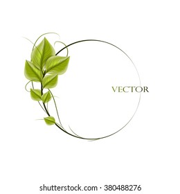 round frame with leaves for your text, vector