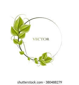 round frame with leaves for your text, vector
