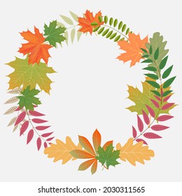 Round frame made of autumn leaves on a white background.