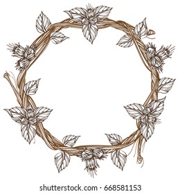 Round frame made of branches with leaves and fruits of hazelnut. Outline decorative element for design isolated on white background.