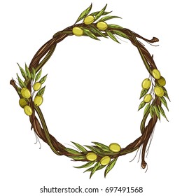 Round frame made of branches with leaves and fruits of olives. Olive wreath. Vector illustration isolated on white background for design of packaging, labels and other items.